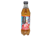 Apfelsaft gespritzt (0,5l)
